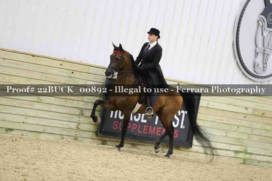 Proof 22BUCK_00892