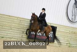 22BUCK_00892 proof
