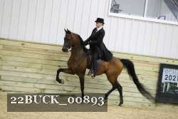 22BUCK_00893 proof