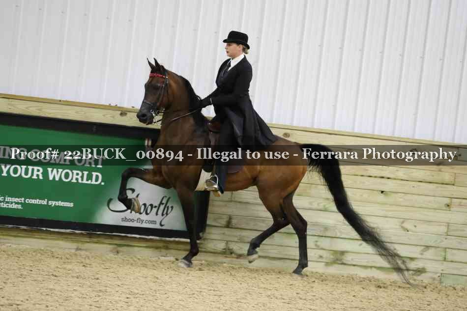 Proof 22BUCK_00894