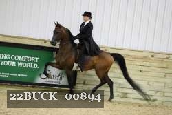 22BUCK_00894 proof