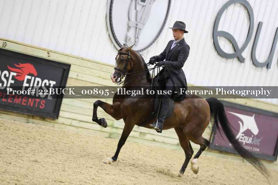Proof 22BUCK_00895