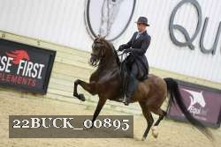 22BUCK_00895 proof