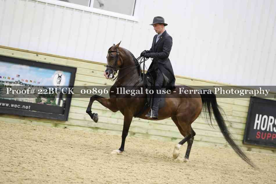 Proof 22BUCK_00896
