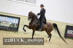 22BUCK_00896 proof
