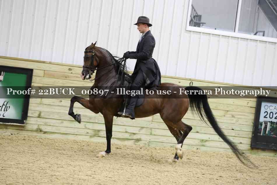 Proof 22BUCK_00897