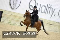 22BUCK_00898 proof