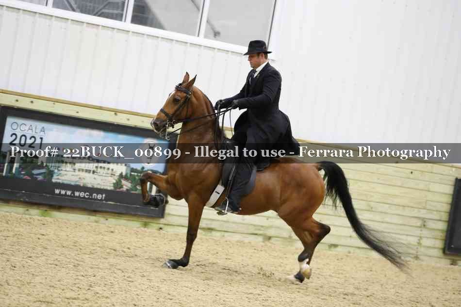 Proof 22BUCK_00899