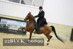 22BUCK_00899 proof