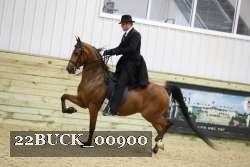 22BUCK_00900 proof