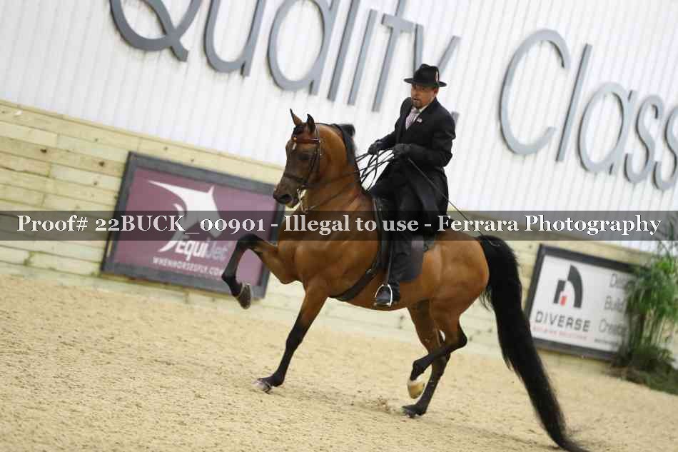 Proof 22BUCK_00901