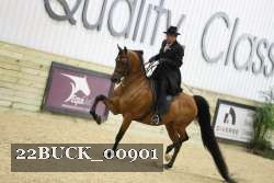 22BUCK_00901 proof