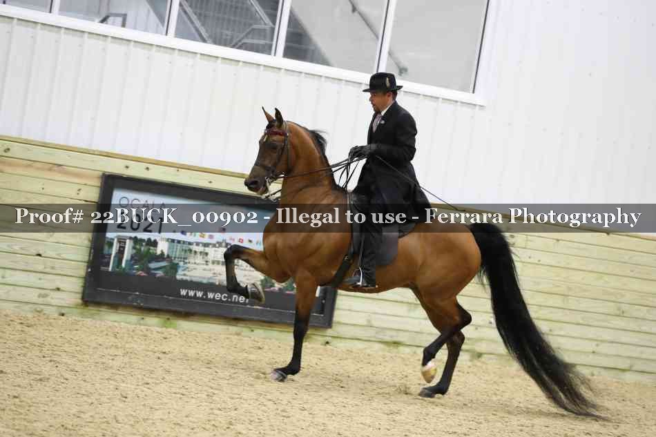 Proof 22BUCK_00902