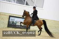 22BUCK_00902 proof