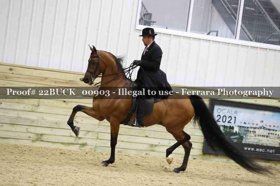 Proof 22BUCK_00903