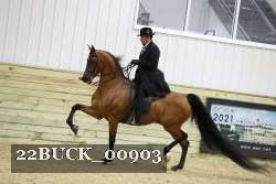 22BUCK_00903 proof