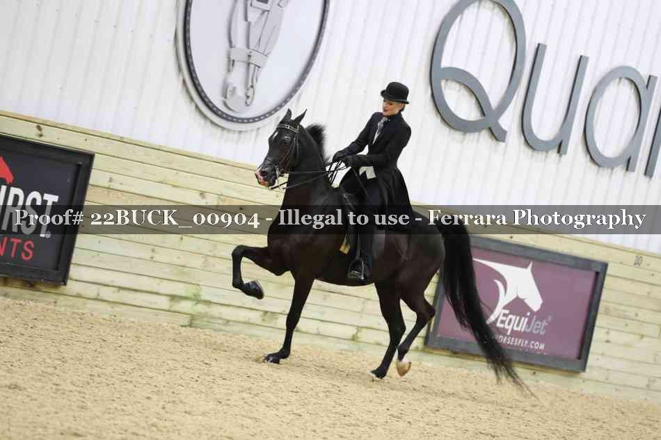 Proof 22BUCK_00904