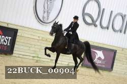 22BUCK_00904 proof