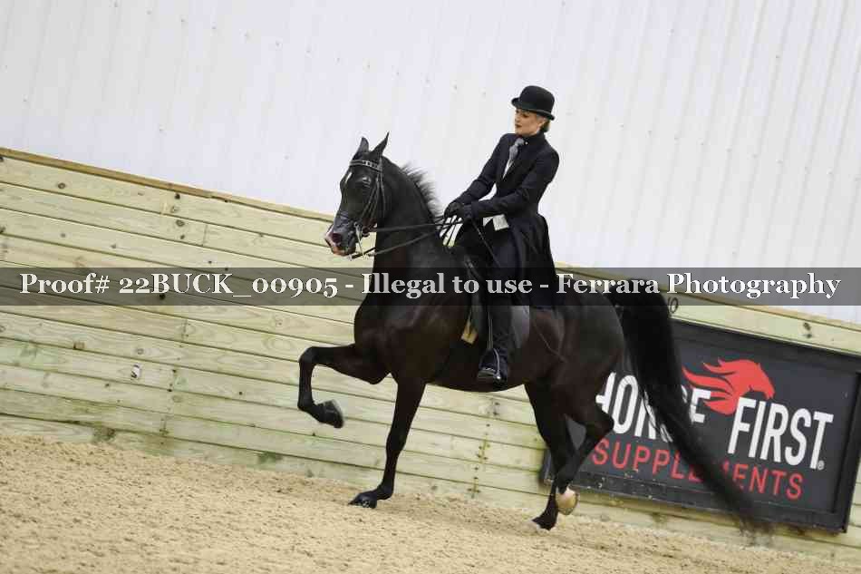 Proof 22BUCK_00905