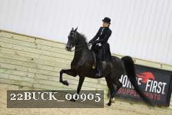 22BUCK_00905 proof