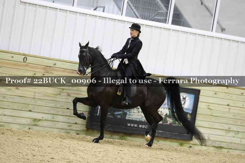 Proof 22BUCK_00906