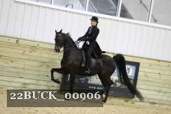22BUCK_00906 proof