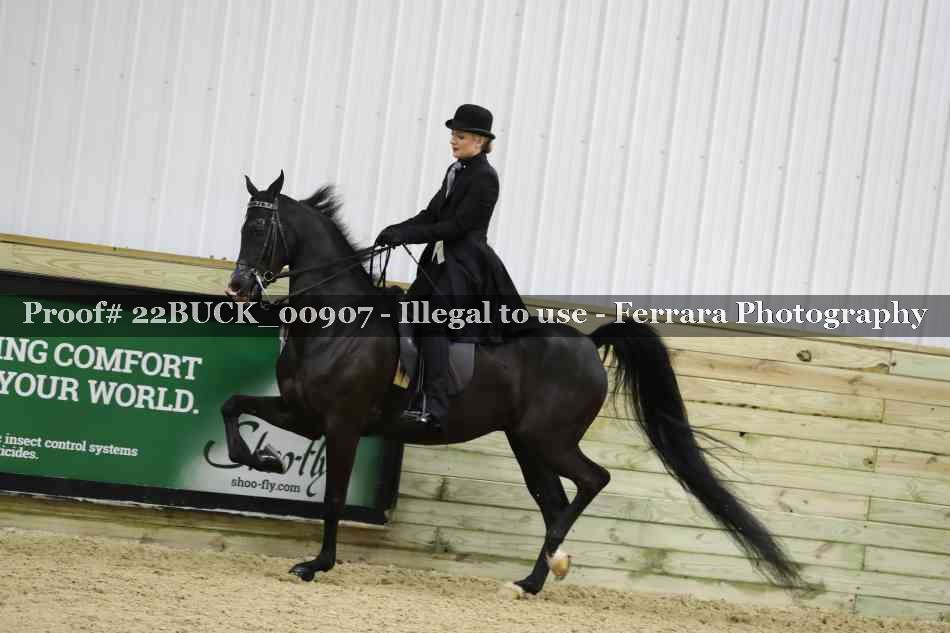 Proof 22BUCK_00907