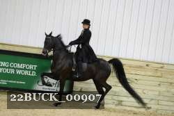 22BUCK_00907 proof