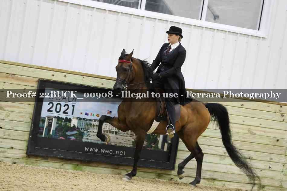 Proof 22BUCK_00908