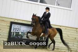 22BUCK_00908 proof