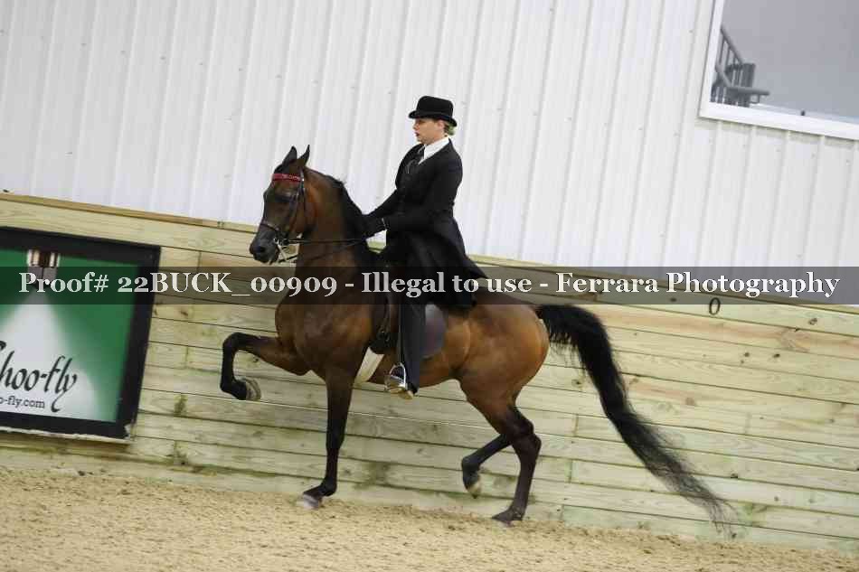 Proof 22BUCK_00909