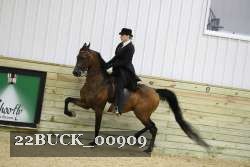 22BUCK_00909 proof