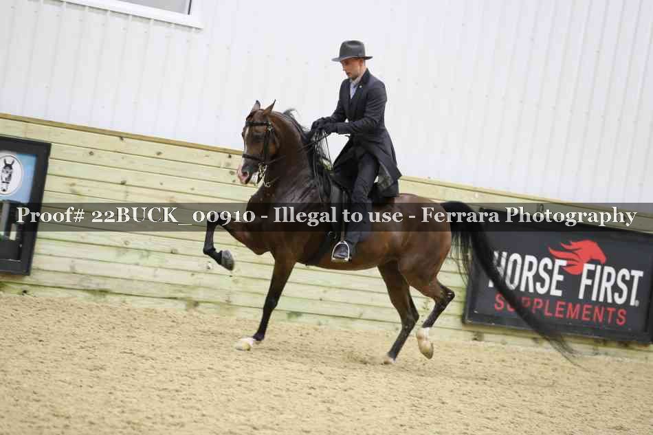 Proof 22BUCK_00910