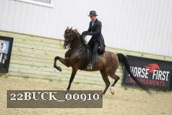 22BUCK_00910 proof
