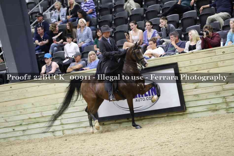 Proof 22BUCK_00911