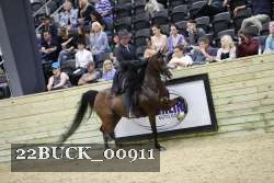 22BUCK_00911 proof