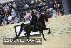 22BUCK_00912 proof