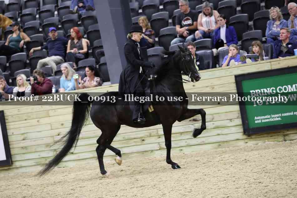 Proof 22BUCK_00913