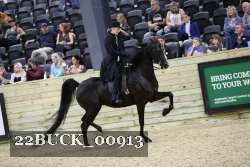 22BUCK_00913 proof