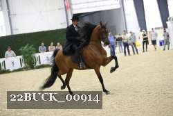 22BUCK_00914 proof