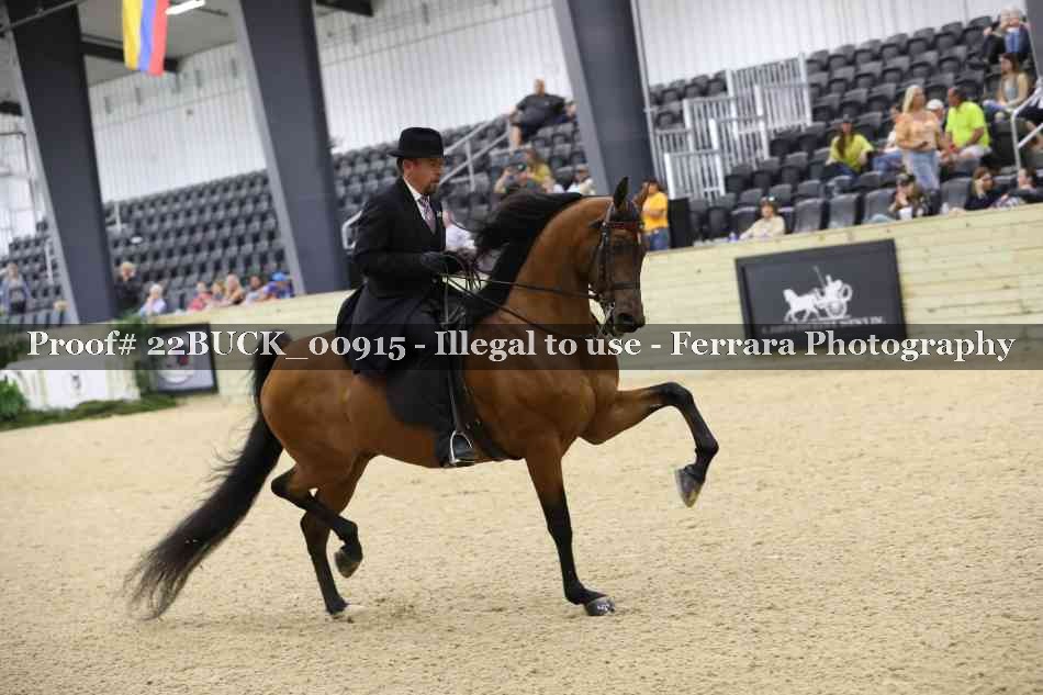 Proof 22BUCK_00915