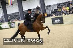 22BUCK_00915 proof