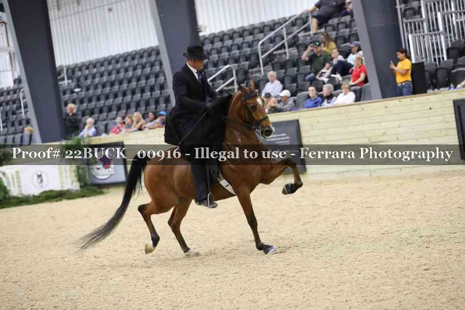 Proof 22BUCK_00916