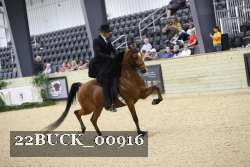 22BUCK_00916 proof