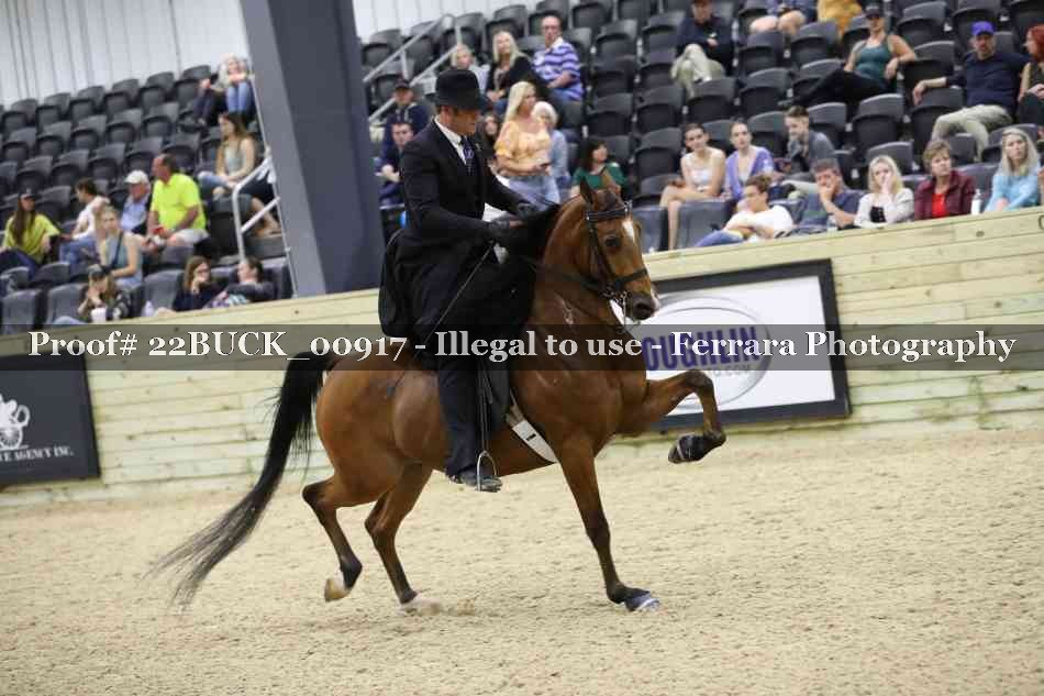 Proof 22BUCK_00917