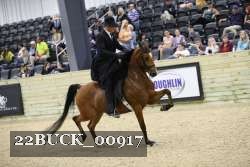 22BUCK_00917 proof