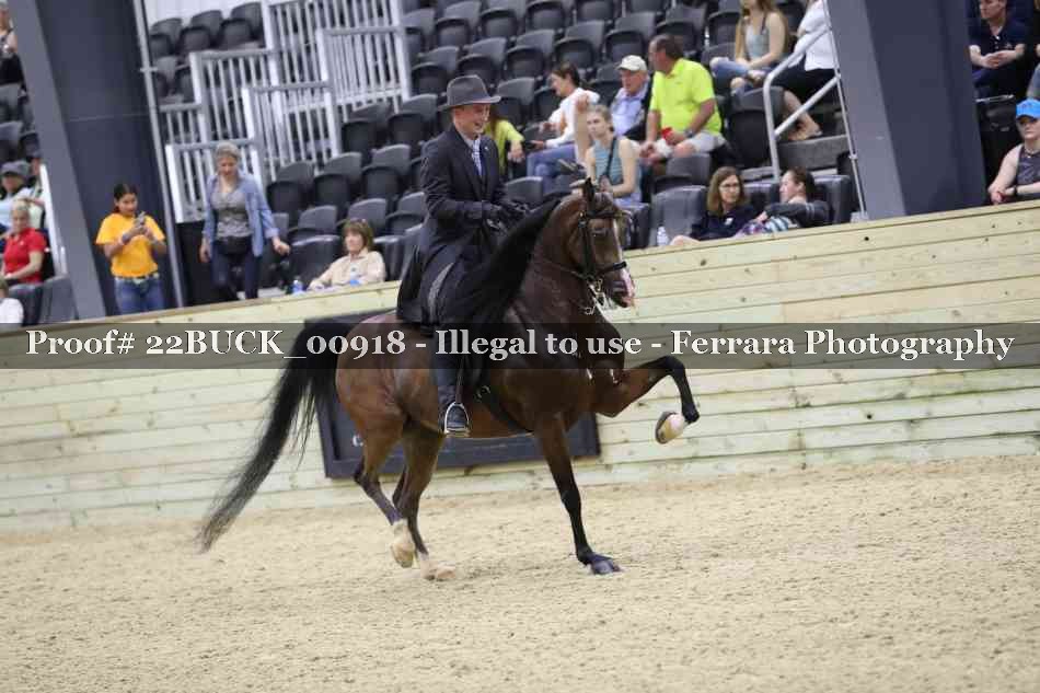 Proof 22BUCK_00918