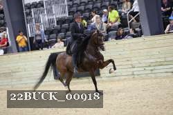 22BUCK_00918 proof