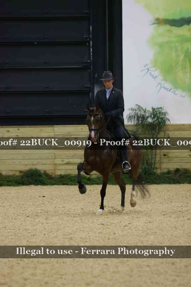 Proof 22BUCK_00919