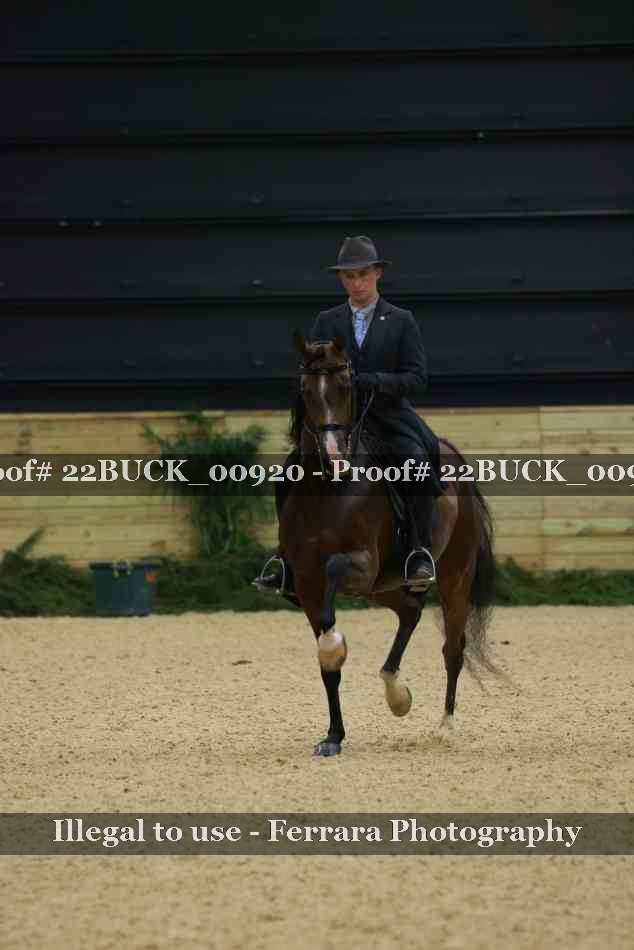 Proof 22BUCK_00920